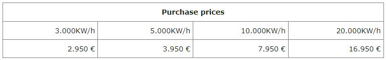 PLUG & PLAY KINTEC Home Power Plant